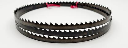 Carbon Flexback 10x0,65 mm TPI 4 Reg