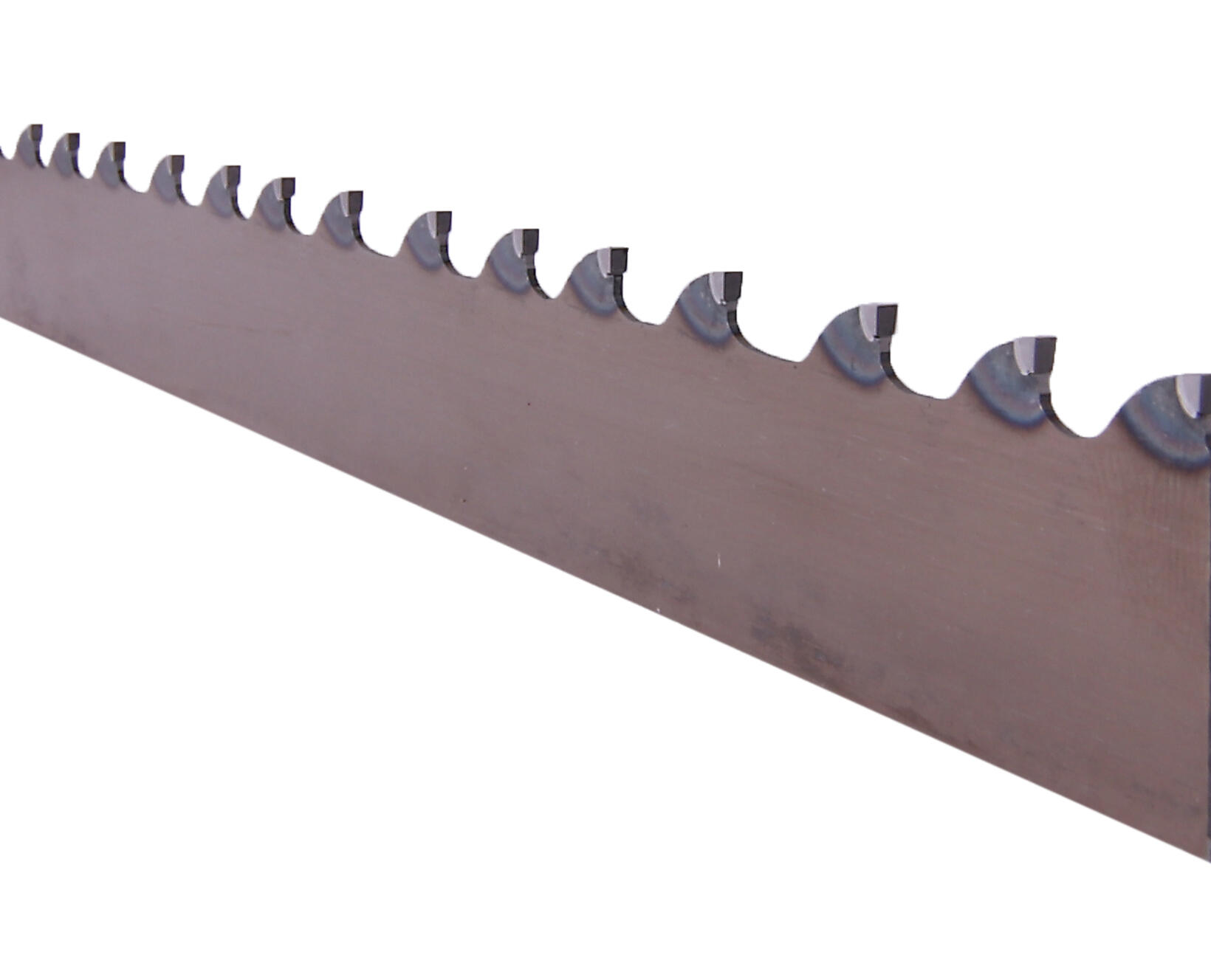 Carbide Wood | Pjūklo juosta | Dudrsaw